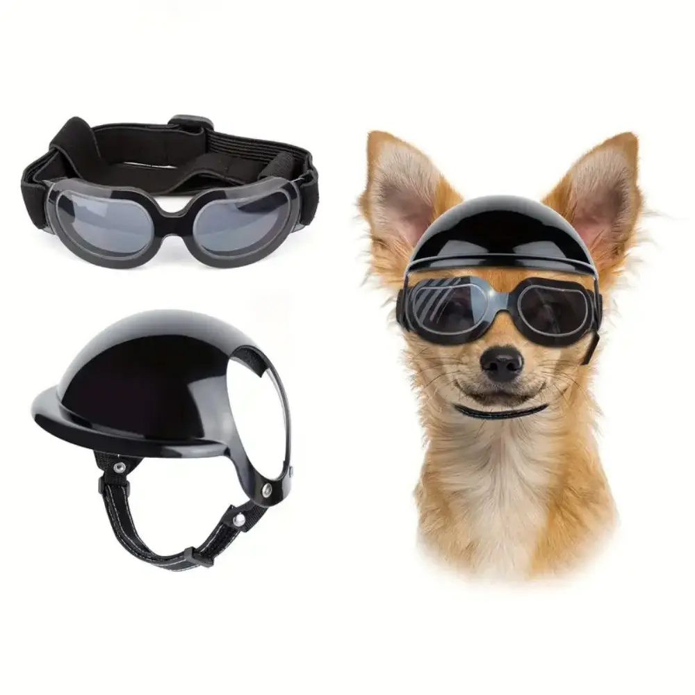 Ensemble de lunettes et casque pour chien IntiMeg