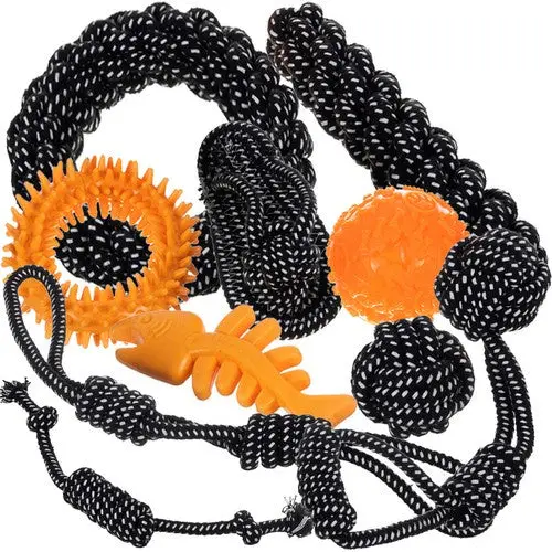 Ensemble de objets pour chiens-10 pièces