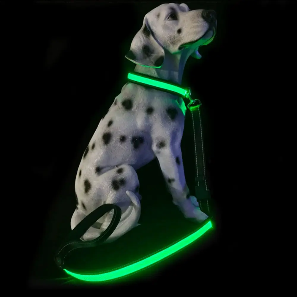 Ensemble collier lumineux LED et laisse pour chiens MCBOSON