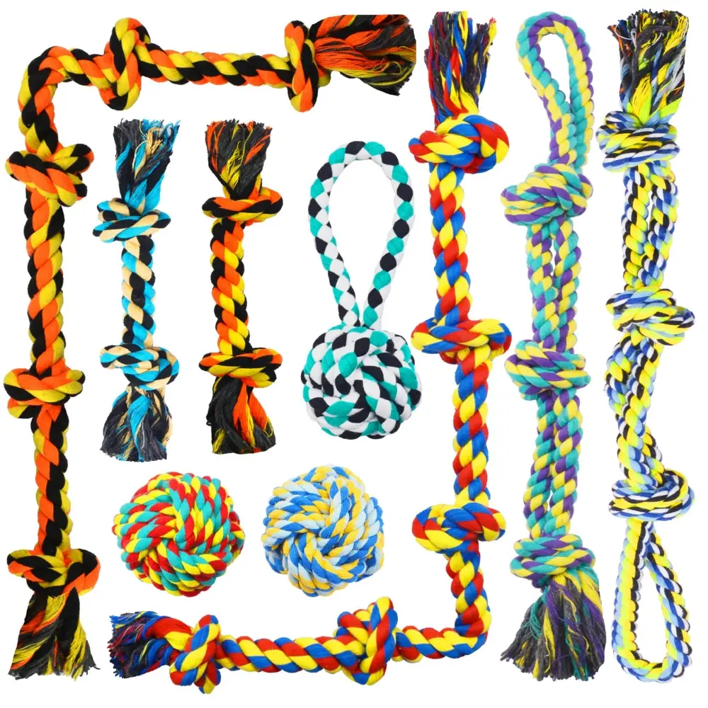 Ensemble de jouets pour chien 9 pièces IntiMeg